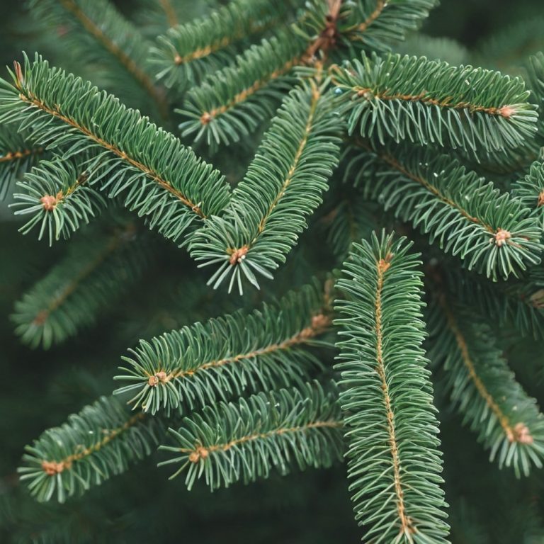 Creating Evergreen Content: Why It Matters and How to Do It